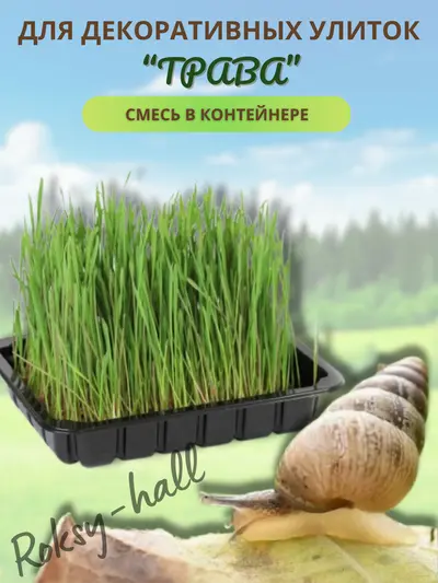 Корм для улитки, трава в контейнере для проращивания, 75г